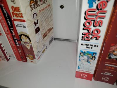 Easy Bookshelf Spacer