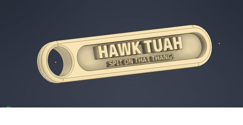 Hawk Tuah Key Tag/Chain