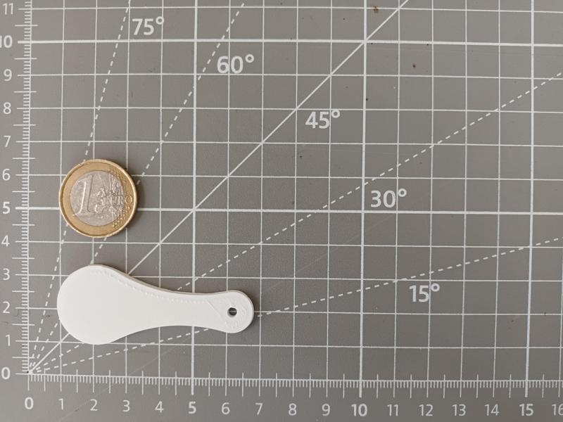 Removable Shopping Cart Coin