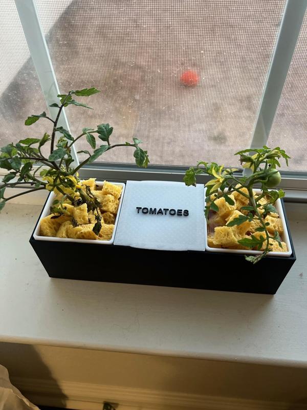 WINDOW SILL HYDROPONIC SYSTEM