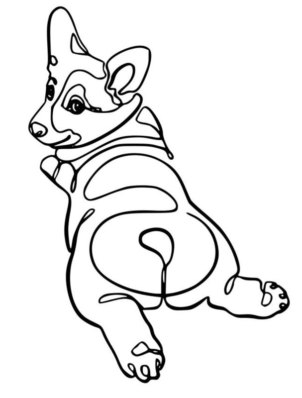Corgi Line Art