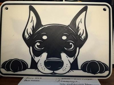 peeking doberman