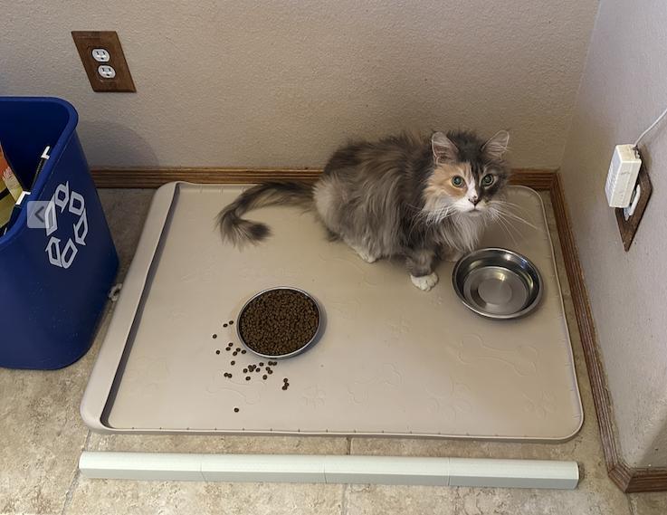 Adjustable Roomba Bumper Wall with Command Adhesive Attachments