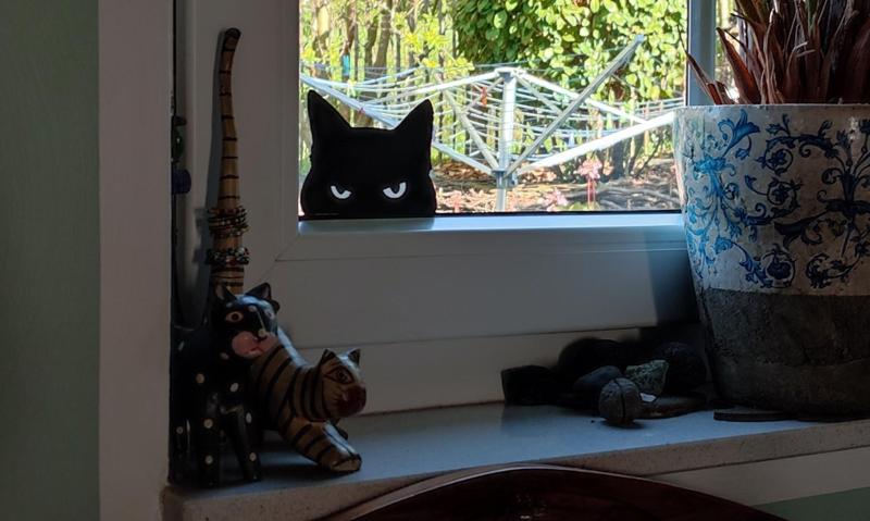 Angry Guard Cat (white eyes)