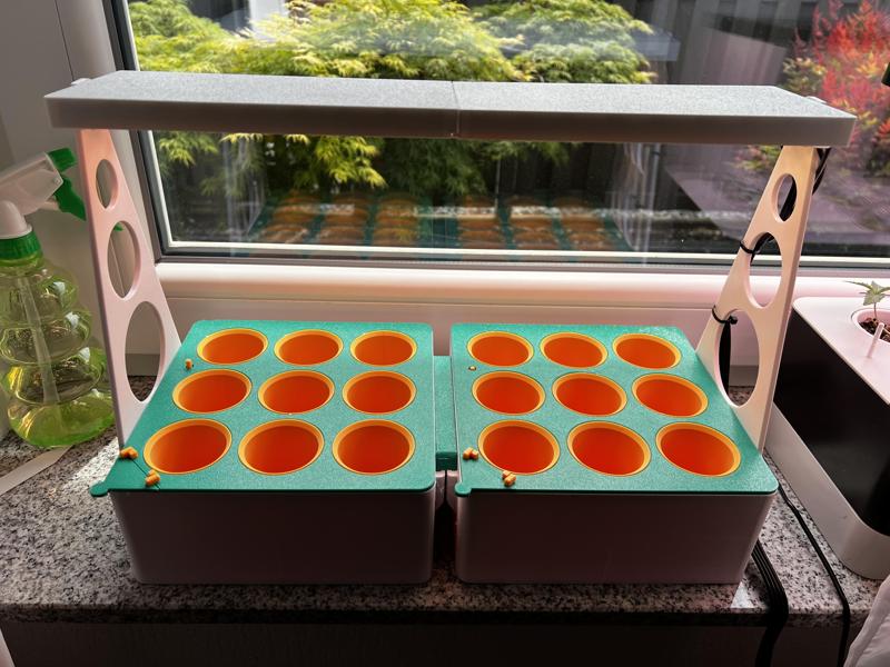 GREENHOUSE GREENHOUSE GROWING PLANTS