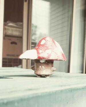 Mushroom Soda Bottle Top Pill Container