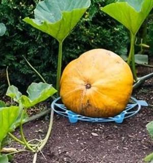 Garden Support Stands For Watermelon, Strawberry & Pumpkin