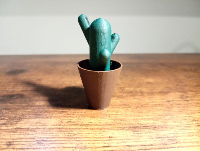 Cute little cactus | Desktop decoration
