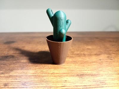 Cute little cactus | Desktop decoration