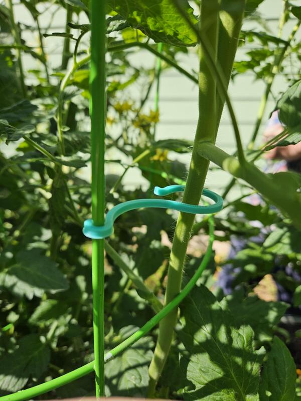 Yet Another Plant Clip