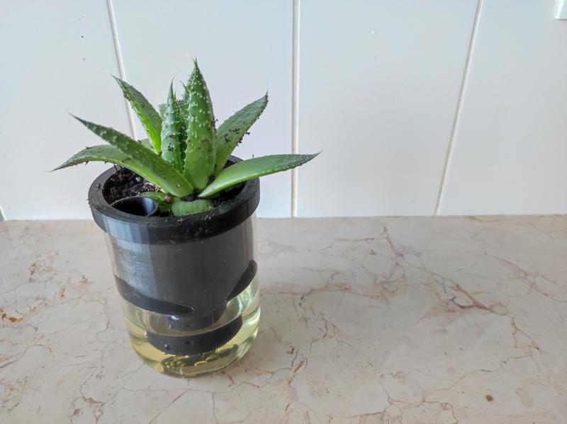 Selfwatering vase