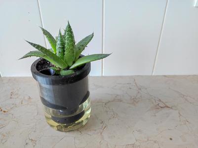 Selfwatering vase