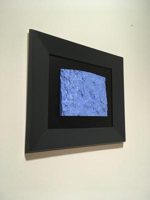 Astigar zuria / Sycamore / Arce blanco /  Acer pseudoplatanus