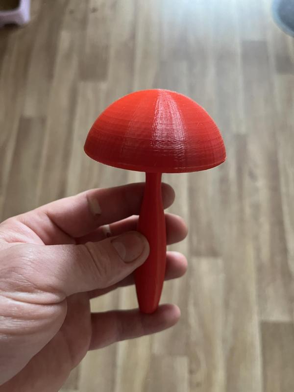 Hříbek na zašívaní ponožek, ponožky