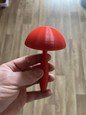 Hříbek na zašívaní ponožek, ponožky