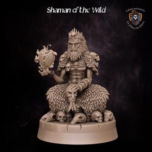 Shaman of the Wild Tribe