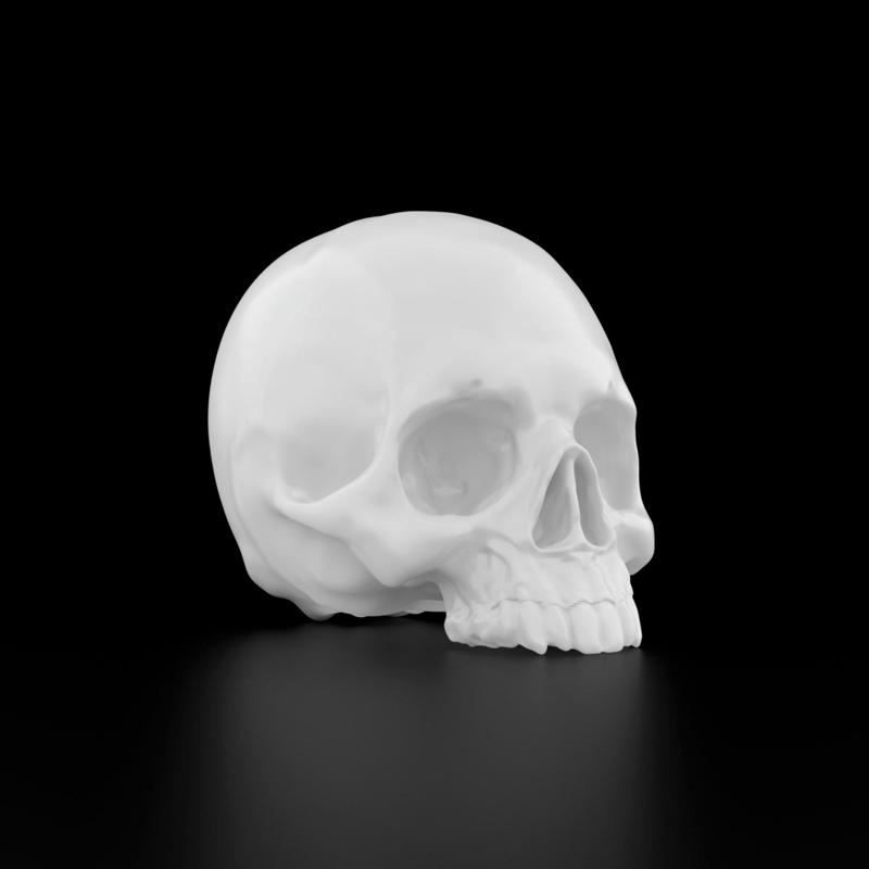 Human Skull