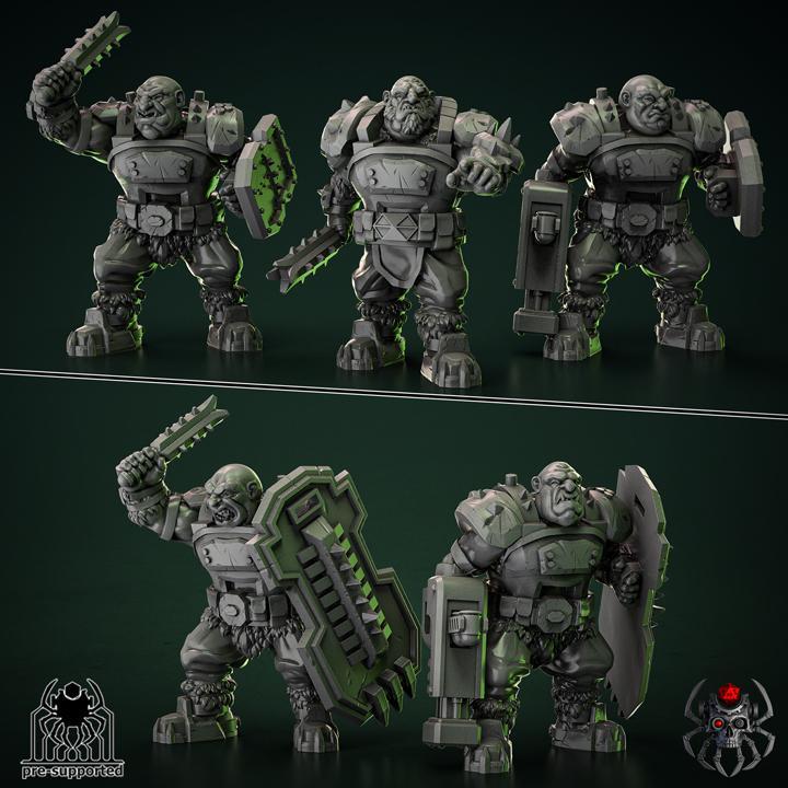 Heavy Ogre Squad  IceWind 