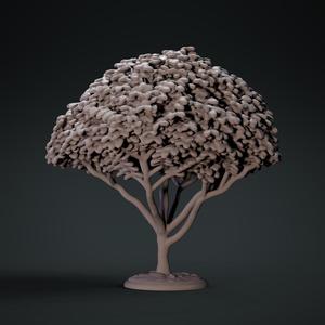 Tree 1