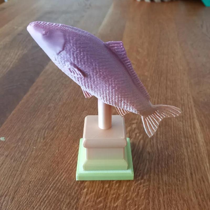 Fishing trophy (carp statue)   