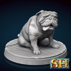 English Bulldog Miniature