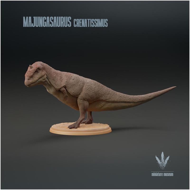 Majungasaurus crenatissimus : Mahajanga Lizard