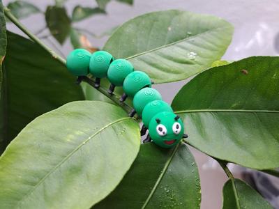 Cute Articulated Caterpillar