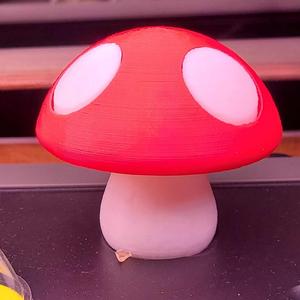 Aerogarden Mushroom hole cover
