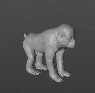 A little monkey digital 3D model