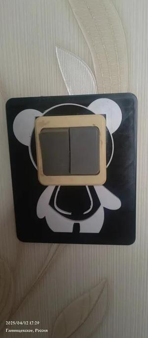 SWITCH COVER   