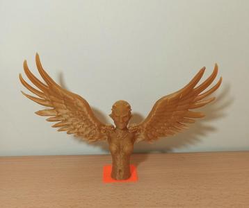 Cecaelia with wings .