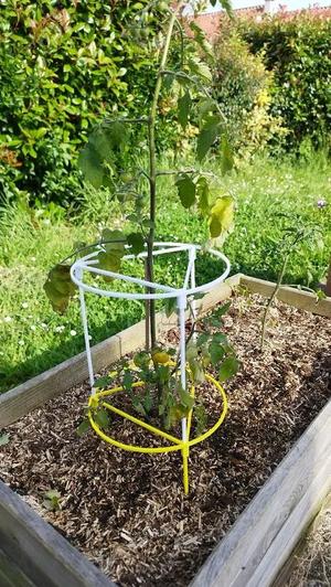 Support pied de tomate / Tomato plant support (remix)   