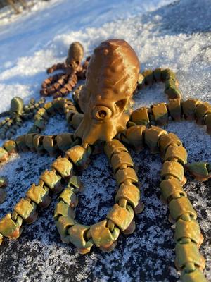 Octopus and Juvenile