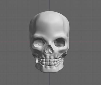 Skull