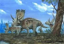 agujaceratops   