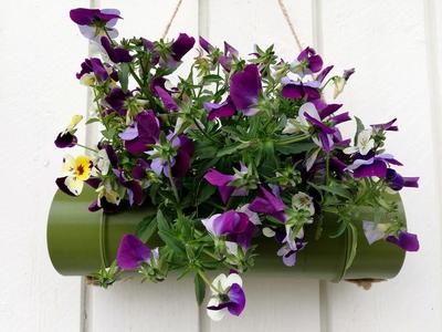 Hanging Bamboo Planter