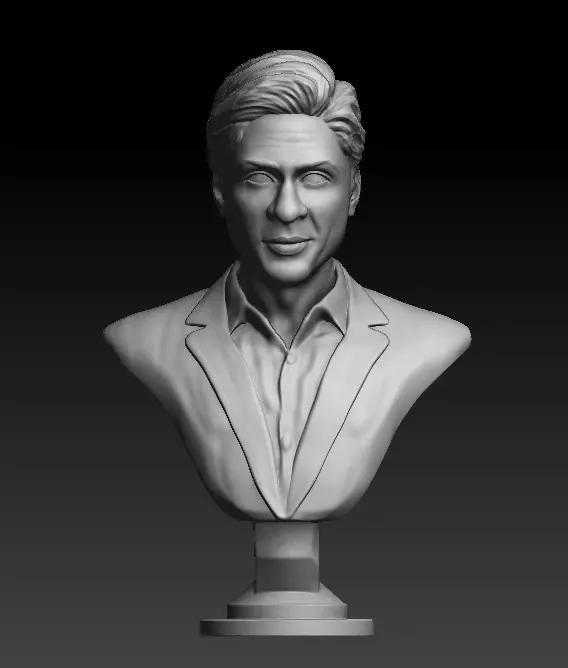 Shahrukh Khan Celebrity Actor