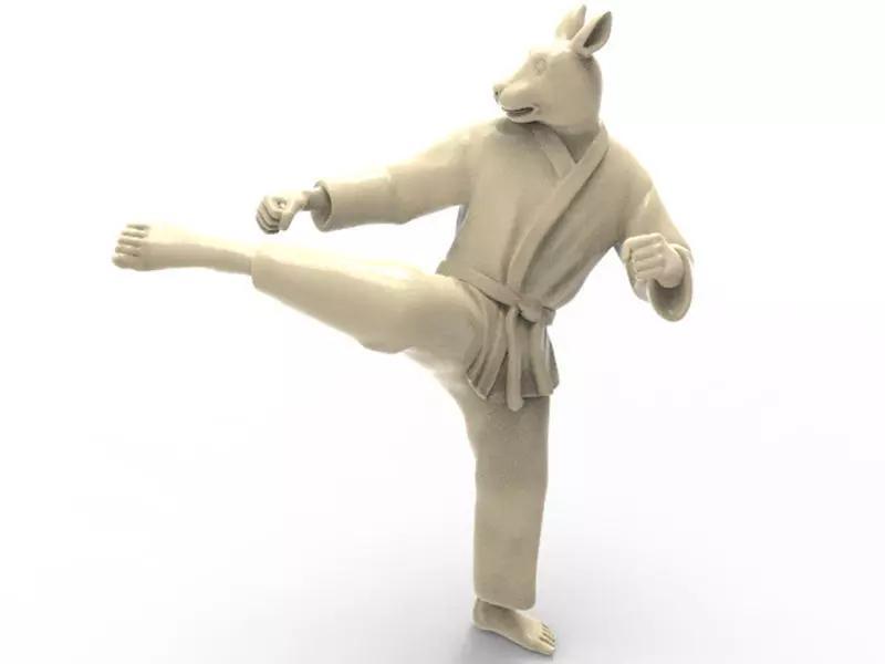 Rabbit Roundhouse Kick