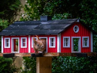 Swedish Birdhouse / Squirrel Nut Garage