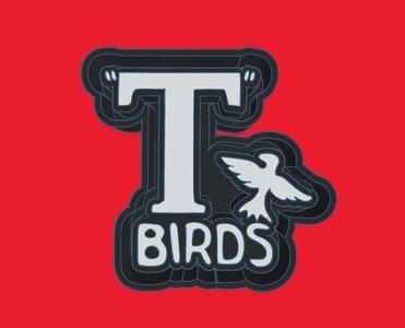 T Birds - Freshie Mold Housing