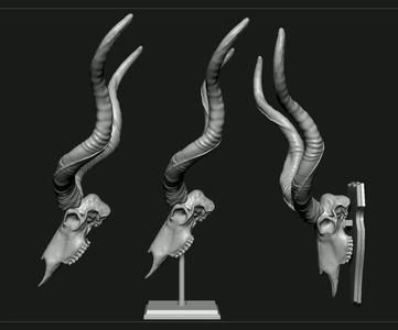 Kudu skull with stand and wall maunt