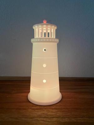 CHRISTMAS LIGHT HOUSES