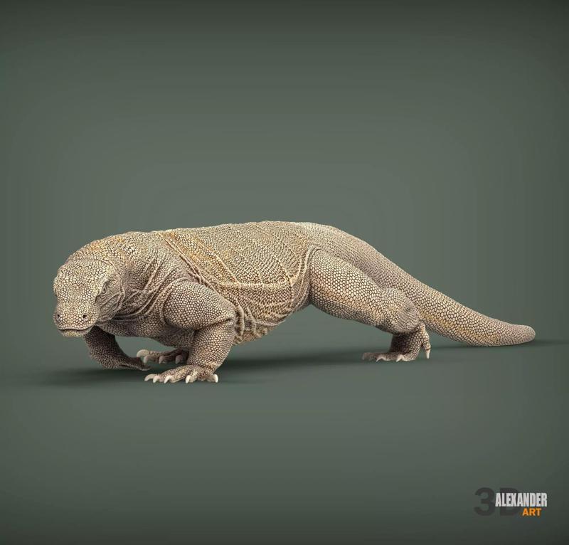 Komodo Dragon