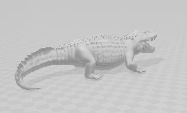 Alligator