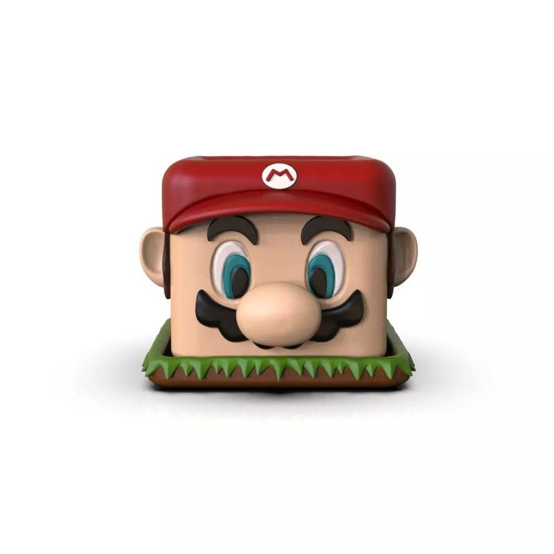 Mario Bros Pot Maceta