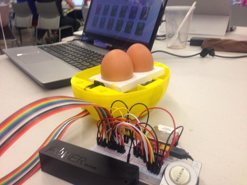 IoT Chicken Hatchery