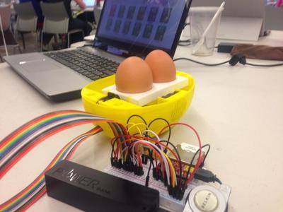 IoT Chicken Hatchery