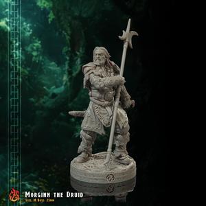 Morginn the Druid