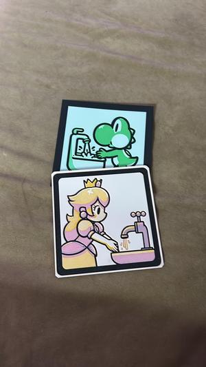Princess Peach Bathroom Sign