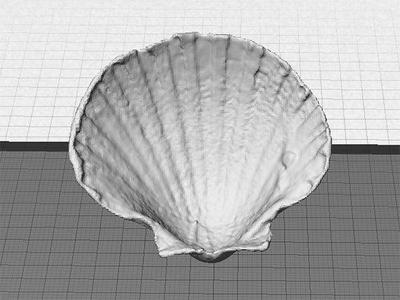 Sea Shell - Digitizer MultiScan